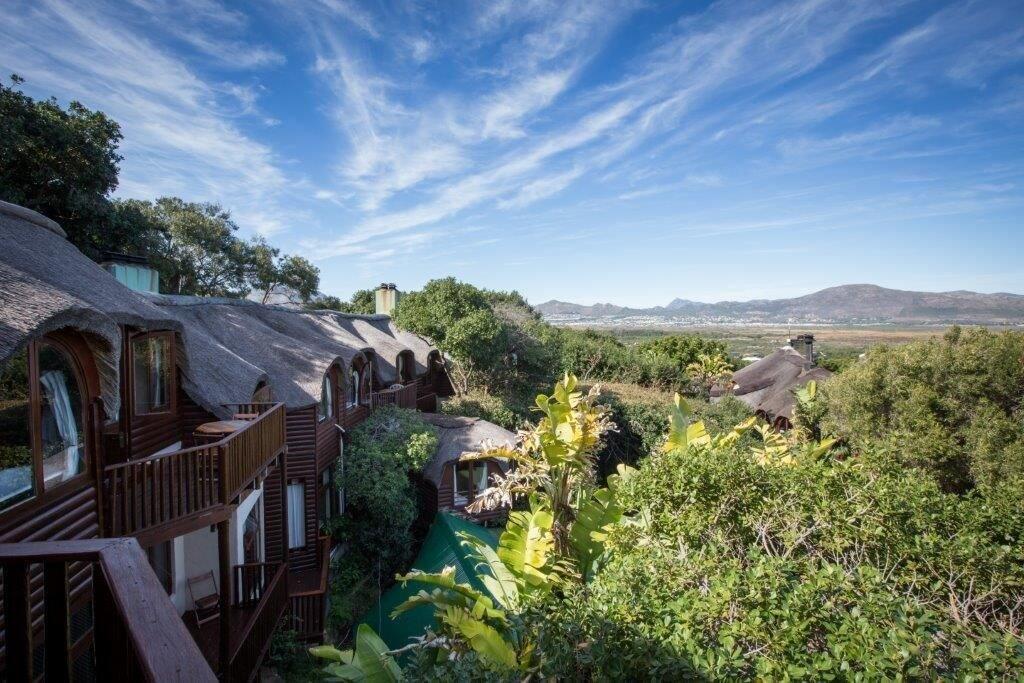 Monkey Valley Resort Noordhoek Bagian luar foto